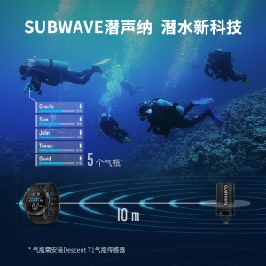 Garmin佳明Descent T1 潜水无线气瓶传感器装备全套智能压力配件