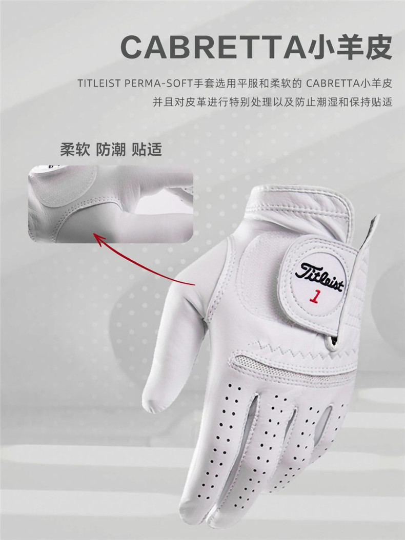 Titleist高尔夫手套PERMA SOFT舒适透气款耐磨男士左手单只手套